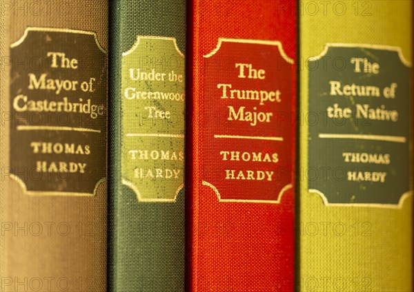 Close up of Folio Society hardback books by Thomas Hardy focus on gilt spine title 'The Trumpet Major