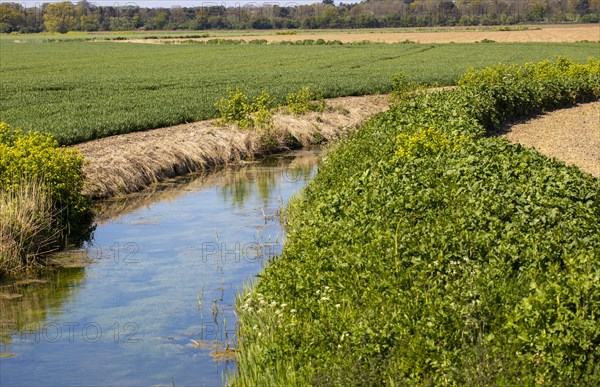 Water in drainage ditch channel through arable farmland, Hollesley, Suffolk, England, UK
