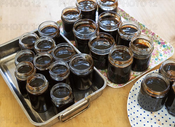Open topped jam jars filled with setting dark liquid quince jam jelly homemade conserve
