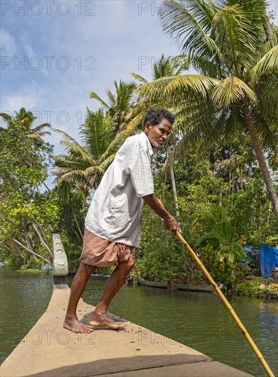 A man navigates a boat through the canals of the Kerala Backwaters using a long pole, Vembanad Lake, Kerala, India, Asia