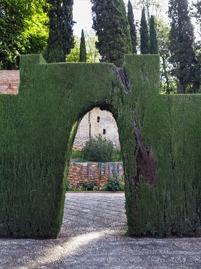 Hedge with passageway, archway in garden, thuja, topiary, Generalife Gardens, Alhambra, Granada, Spain, Europe