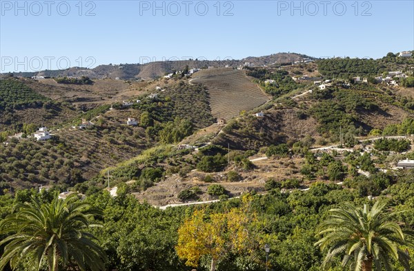 Landscape view of scenery hillsides with farms and farmhouses, Frigiliana, Axarquia, Andalusia, Spain, Europe