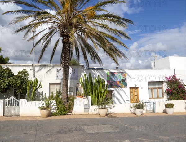 Date palm tree whitewashed houses in village of Rodalquilar, Almeria, Spain, former mining town now arty, Europe