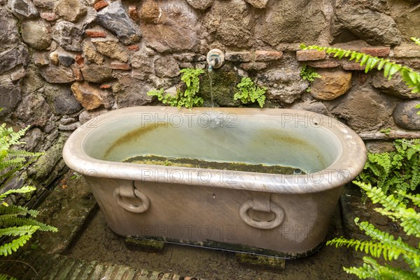 Stone water fountain bath in garden of historic Moorish palace Alcazaba, Malaga, Andalusia, Spain, Europe