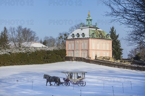 Carriage ride at the Pheasant Castle Moritzburg, Moritzburg, Saxony, Germany, Europe