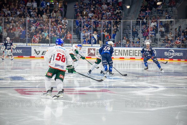 Game scene Adler Mannheim against Augsburg Panther (PENNY DEL, German Ice Hockey League)