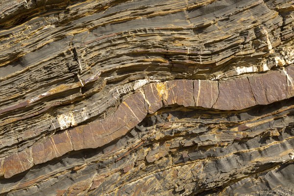 White veins of quartzite forming dykes crossing layers of metamorphosed sedimentary rock in the coastal cliff on the Atlantic coast at Odeceixe, Algarve, Portugal, southern Europe, Europe