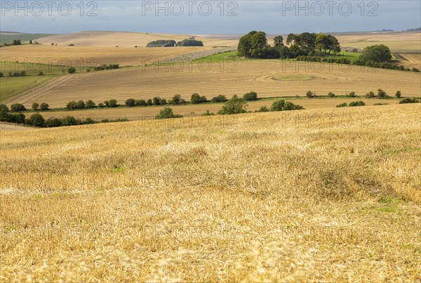 Chalk downland landscape fields of stubble looking west over East Kennett long barrow, Wiltshire, England, UK