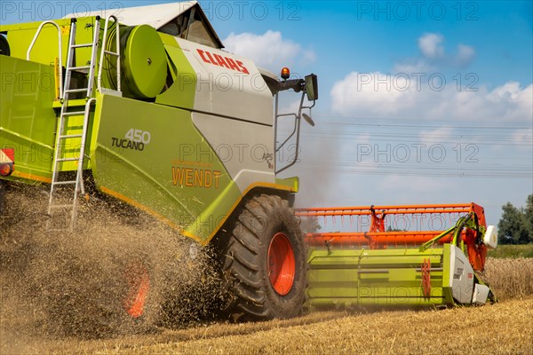 Grain harvest near Hockenheim, Baden-Wuerttemberg