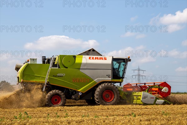 Grain harvest near Hockenheim, Baden-Wuerttemberg