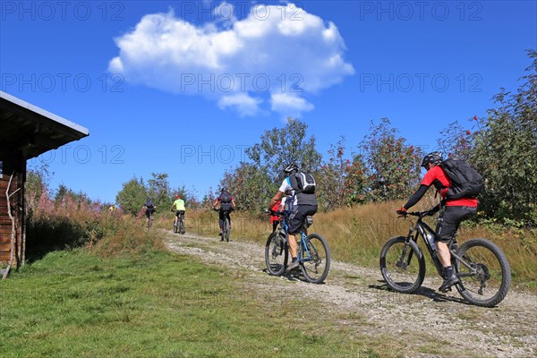 Mountain bike tour through the Bavarian Forest with the DAV Summit Club: Mountain bikers on the ascent to the Grosser Arber