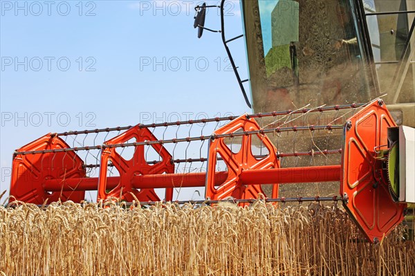 Agriculture grain harvest (Rhineland-Palatinate, July 2020)