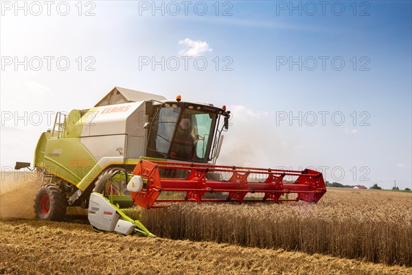 Grain harvest near Hockenheim, Baden-Wuerttemberg