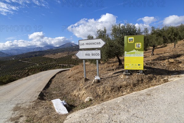 Road signs to Rio Seco and Las Provincias in olive trees near Zalia, Alcaucin, La Axarquia, Andalusia, Spain, Europe