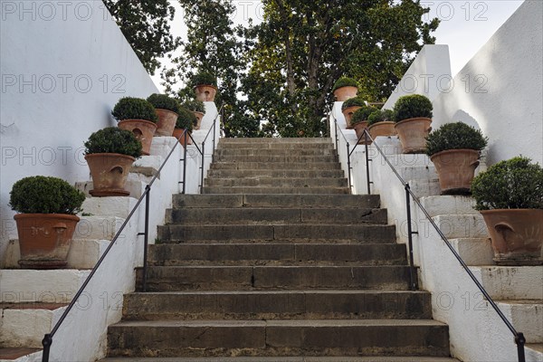 Staircase decorated with flower pots, Palacio de Generalife, Moorish architecture, Alhambra, Granada, Spain, Europe