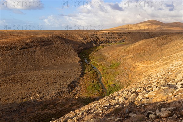 Barranco de Los Molinos, erosion gorge, Canary Islands, Fuerteventura, Spain, Europe