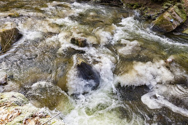 Severe frost has formed bizarre ice formations in the riverbed of the Gottleuba, Bergieshuebel, Saxony, Germany, Europe