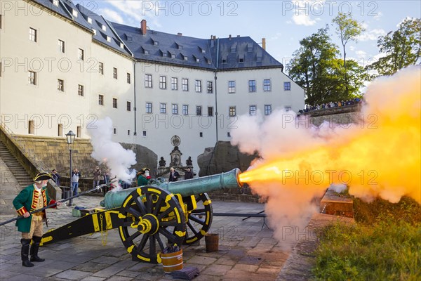 Koenigstein Fortress in Saxon Switzerland. A cannon belonging to the Koenigstein Fortress, built in 1712, was christened DIE STARKE AUGUSTE and fired. By the Electoral Saxon Gunners 1730 of the Rifle Society Friedersdorf., Koenigstein, Saxony, Germany, Europe