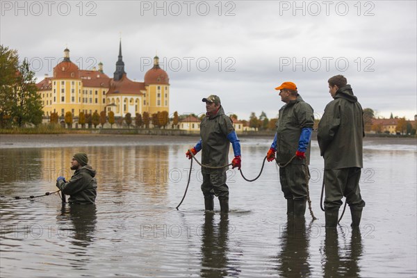 Fish and forest festival, fishing in the Moritzburg castle pond