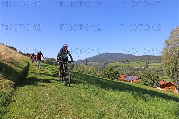 Mountain bike tour through the Bavarian Forest with the DAV Summit Club: Descent in a meadow paths towards Arrach. In the background, the summit of the Osser, a mountain on the border between Germany and the Czech Republic