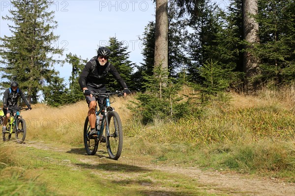 Mountain bike tour through the Bavarian Forest with the DAV Summit Club: Mountain bikers in the Bohemian Forest near the border with Bavaria