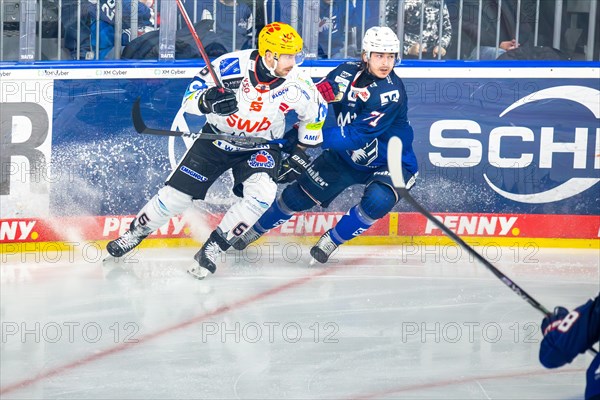 Game scene Adler Mannheim against Fischtown Pinguins Bremerhaven (PENNY DEL, German Ice Hockey League)