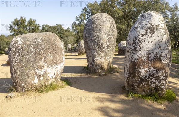 Neolothic stone circle of granite boulders, Cromeleque dos Almendres, Evora district, Alentejo, Portugal, southern Europe, Europe