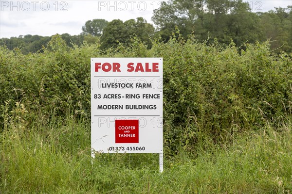 Estate agent Cooper and Tanner property for sale sign at livestock farm Compton Bassett, Wiltshire, England, UK