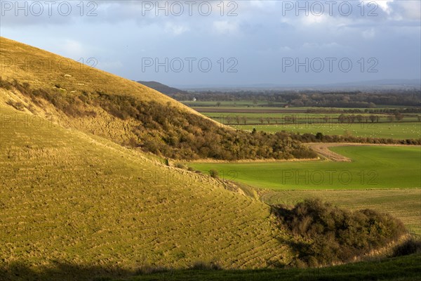 Chalk scarp slope Knapp Hill, Vale of Pewsey, Alton Priors, Wiltshire, England, UK