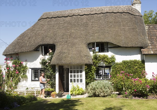 Woman pruning roses outside country cottage, Cherhill, Wiltshire, England, UK model and property release available