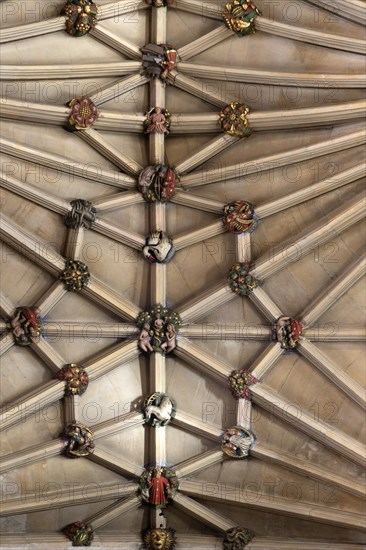 Vaulted stone roof ceiling showing painted roof bosses, Norwich Cathedral, Norfolk, England, UK