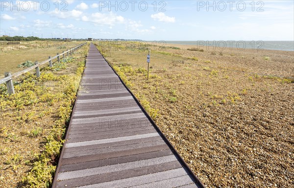 Boardwalk crossing shingle beach habitat at Landguard Point, Felixstowe, Suffolk, England, UK