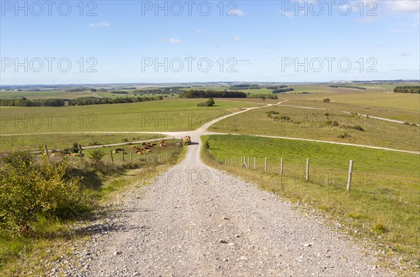 Unsurfaced track roads chalk upland landscape looking north-west, from Sidbury Hill, Salisbury Plain, Wiltshire, England, UK
