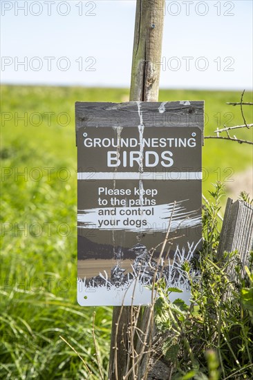 Ground-nesting birds sign about keeping to paths and controlling dogs, Shingle Street, Hollesley, Suffolk, England, UK
