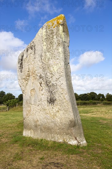 Standing stones megaliths neolithic stone circle henge prehistoric monument, Avebury, Wiltshire, England UK, male stone at the Cove