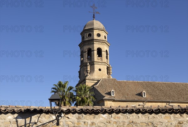 Bell tower of cathedral church against blue sky, Baeza, Jaen province, Andalusia, Spain, Europe