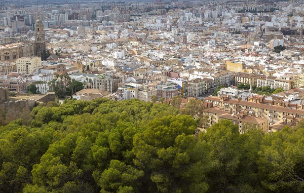View over high density buildings city centre of Malaga, Spain, Europe