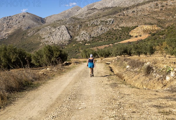 Woman walking on GR-249, Gran Senda de Malaga, near Guaro, Periana, Axarquia, Andalusia, Spain, Europe