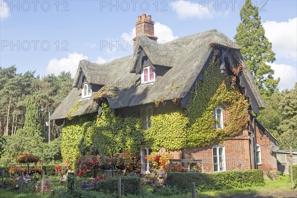 Large detached thatched house and garden, Sudbourne, Suffolk, England, United Kingdom, Europe