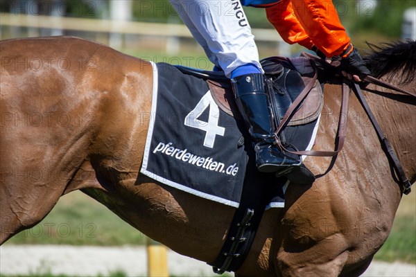 Race day at the racecourse in Hassloch, Palatinate. Galloping out after the Mueller Bau GmbH Prize (category E, 1, 400 metres) . Here Stefanie Koyuncu on Saguaro