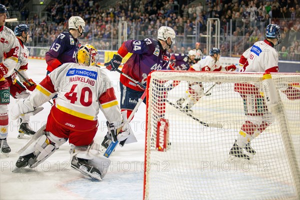 Game scene Adler Mannheim against Duesseldorfer EG (PENNY DEL, German Ice Hockey League)