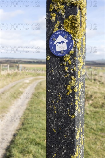 Route marker sign for the White Horse Trail across chalk downland, Marlborough Downs, Wiltshire, England, UK