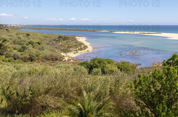 Coastal wooded landscape of pristine beaches and lagoon behind offshore sandbar, Cacela Velha, Vila Real de Santo Antonio, Algarve, Portugal, Southern Europe, Ria Formosa Natural Park, Europe