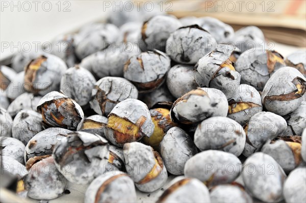 Quentes e Boas, chestnuts, chestnuts, Alfama neighbourhood, Lisbon, Lisboa, Portugal, Europe