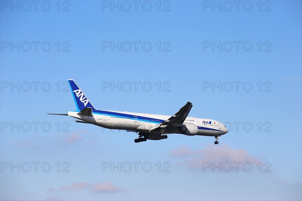 A passenger plane of the Japanese airline ANA lands at Frankfurt Airport