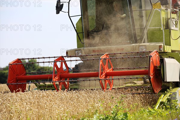 Agriculture grain harvest (Rhineland-Palatinate, July 2020)