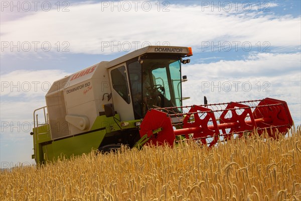 Grain harvest in the district of Bad Duerkheim (Rhineland-Palatinate)