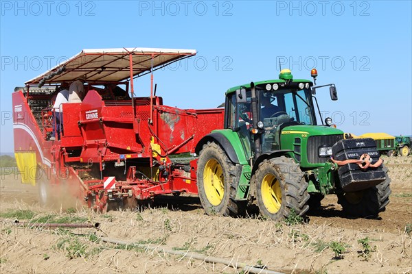 Agriculture potato harvesting