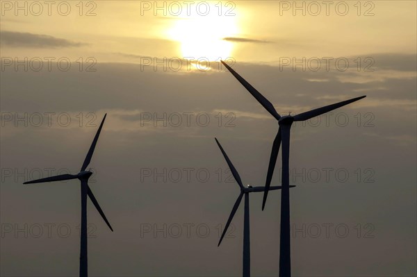 Windmills in a wind farm, Nauen, 03/03/2021