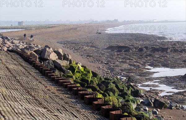 Land protected by rock armour coastal defences, Bawdsey, Suffolk, England, UK low tide reveals London Clay